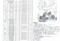 患者检查报告